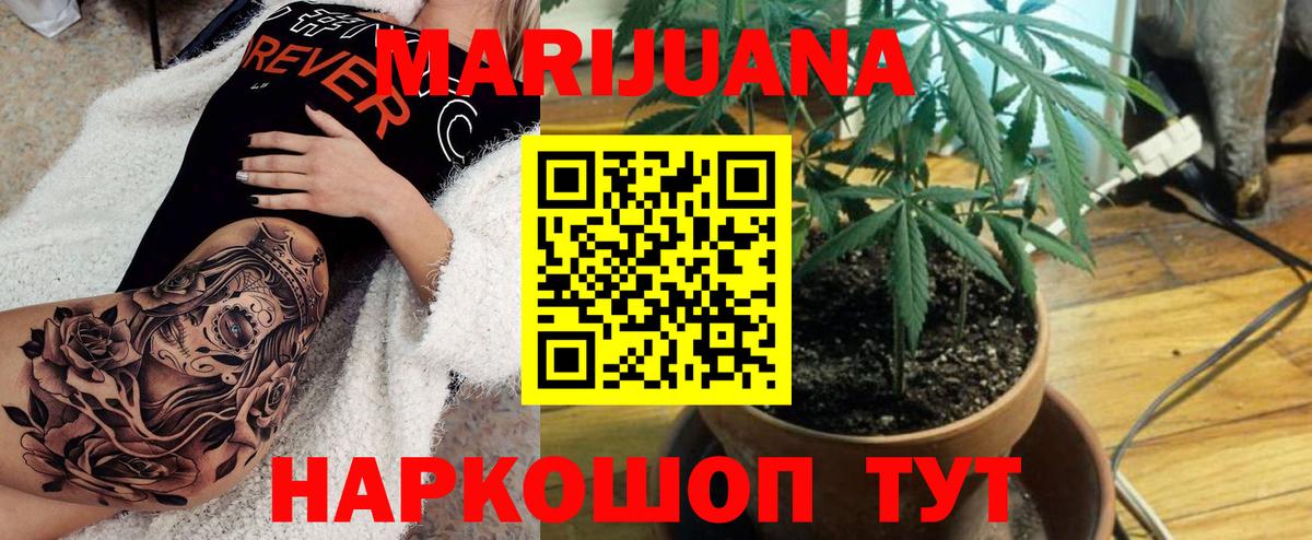 Каннабис планчик Кимовск